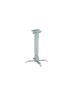 პროექტორის საკიდი: ALLSCREEN PROJECTOR CELLING MOUNT CPMS-4365