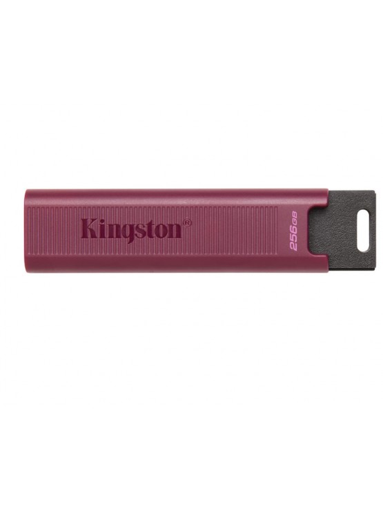 ფლეშ მეხსიერება: Kingston DataTraveler Max 256GB USB3.2 - DTMAXA/256GB