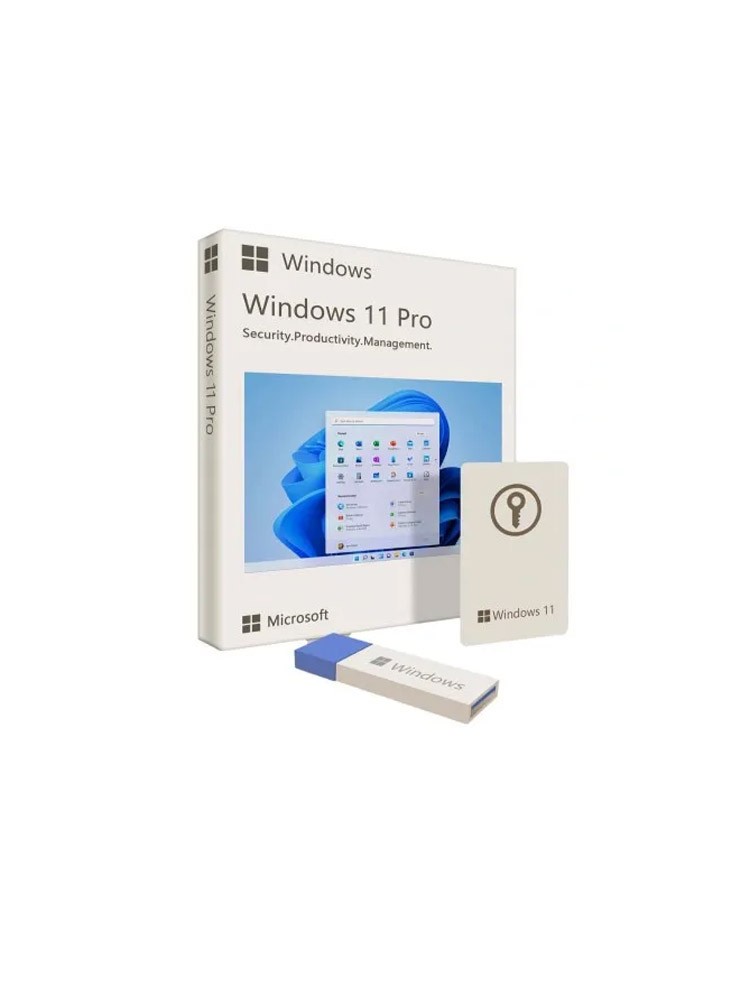 პროგრამა: Microsoft Windows 11 Professional 64-Bit USB