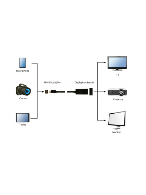 ადაპტერი: Gembird A-mDPM-DPF4K-01 4K/30Hz Mini DisplayPort to DisplayPort adapter Black