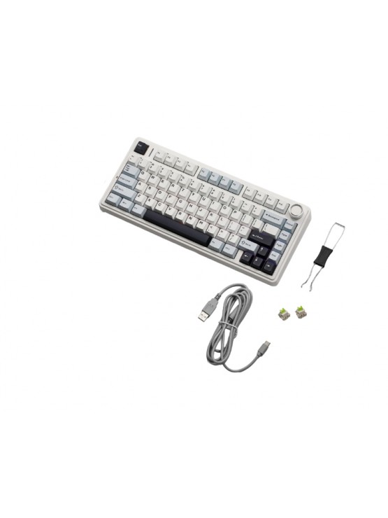 კლავიატურა: AULA F75 Wireless Mechanical Keyboard Gradient White/Blue/Purple (Star Vector Switch)
