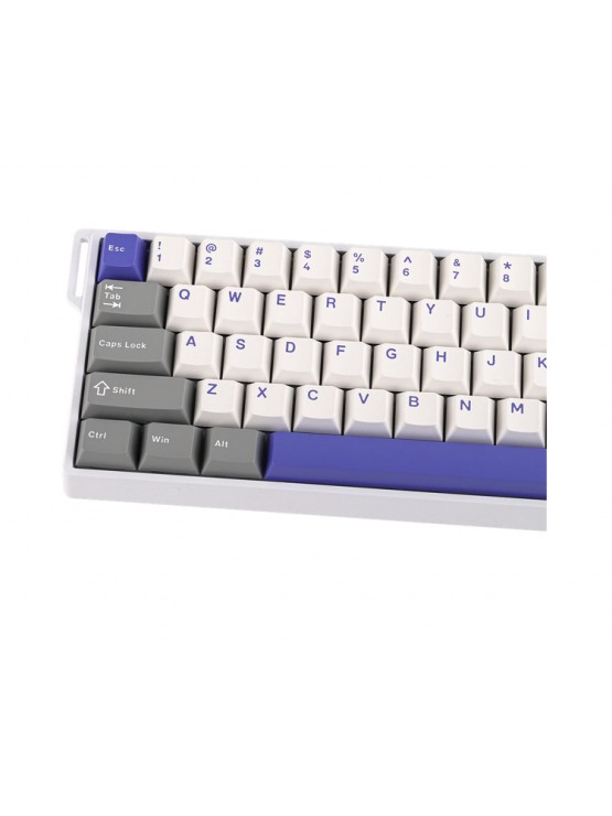 კლავიატურა: AULA WIN60 HE MAX Edition RGB Wired Gaming Keyboard White/Grey/Blue (Wing Chun Magnetic Switch)