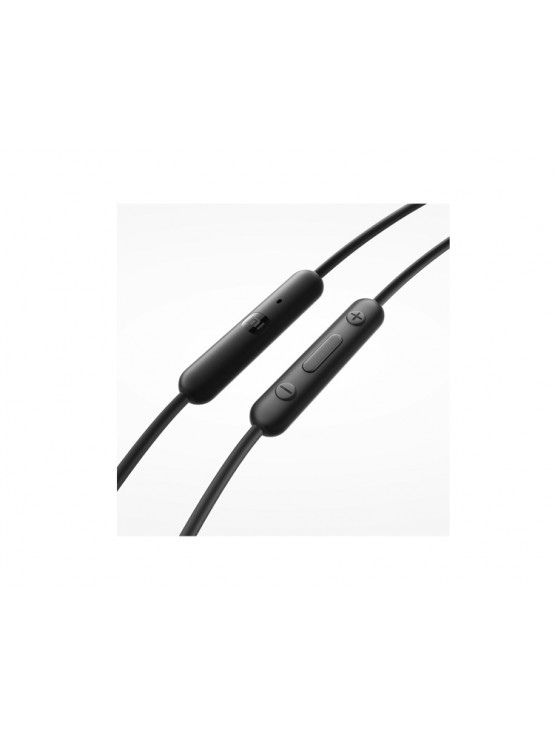 ყურსასმენი: Xiaomi Type-C Earphones Black - BHR8930GL