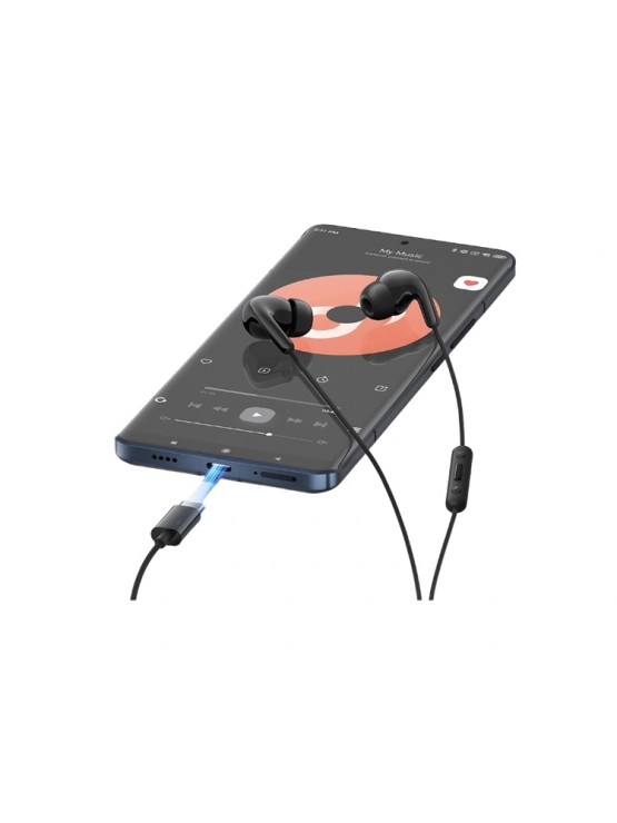 ყურსასმენი: Xiaomi Type-C Earphones Black - BHR8930GL