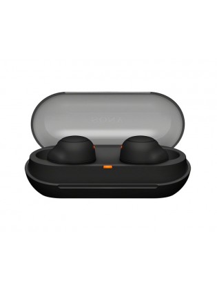 ყურსასმენი: Sony WF-C500 Wireless Bluetooth Earbuds Black - WF-C500B.E