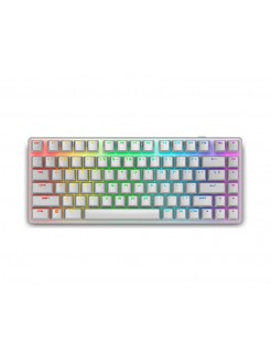 კლავიატურა: Dell Alienware Pro Wireless Gaming Keyboard Lunar Light - 545-BBFR