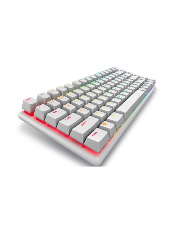 კლავიატურა: Dell Alienware Pro Wireless Gaming Keyboard Lunar Light - 545-BBFR