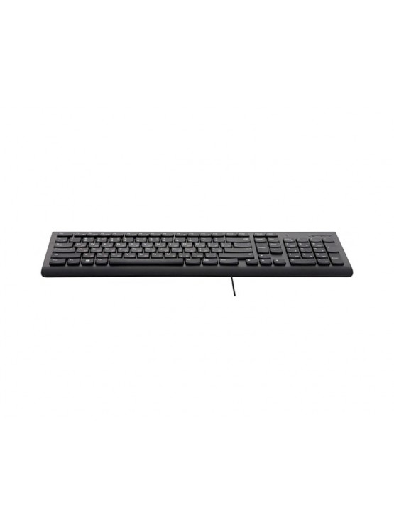 კლავიატურა: Lenovo 300 USB Keyboard - GX30M39684