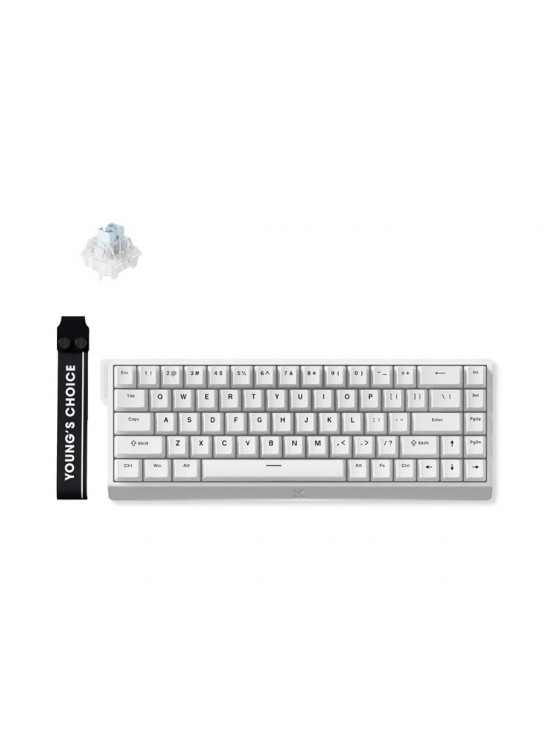 კლავიატურა: Mchose Ace 68 Hall Effect Wired Magnetic Switch Gaming Keyboard White - MC-Ace68-15
