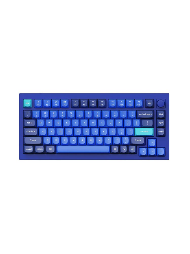 კლავიატურა: Keychron Q1 QMK RGB Gateron G Pro Blue Wired Mechanical Keyboard Blue - Q1O2_KEYCHRON