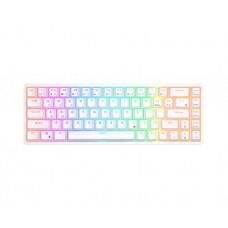 კლავიატურა: Royal Kludge RK G68 RGB Red switch Mechanical Keyboard White - RK837-WHIT-H