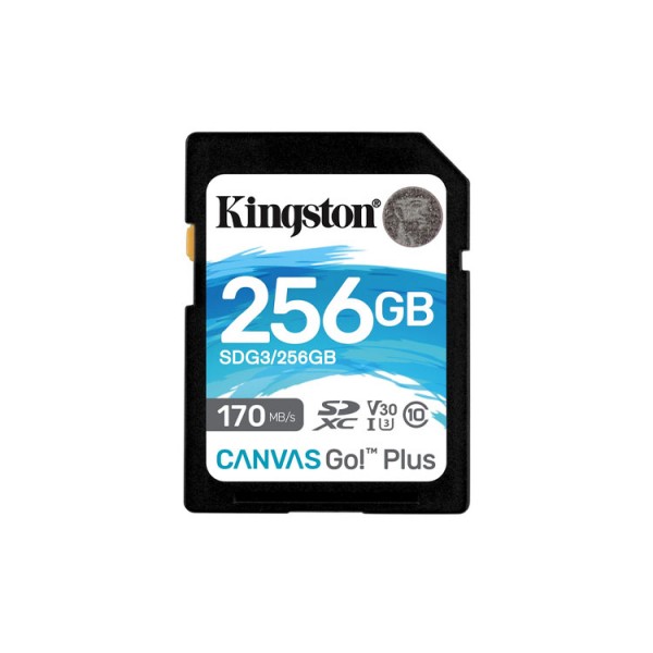 Kingston SDG3/64GB Carte mémoire SD Card ( 64GB SDXC Canvas Go Plus