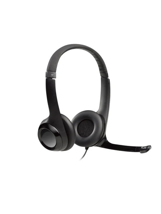 ყურსასმენი: Logitech H390 Computer Headset USB Black - 981-000406